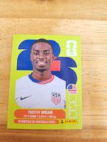 Panini FIFA World Cup USA 12