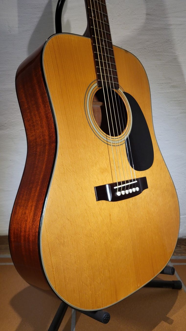 Aria Strumenti musicali: Western Gitarre Aria – Usato da Winterthur venduto da NorrSydGuitars 6