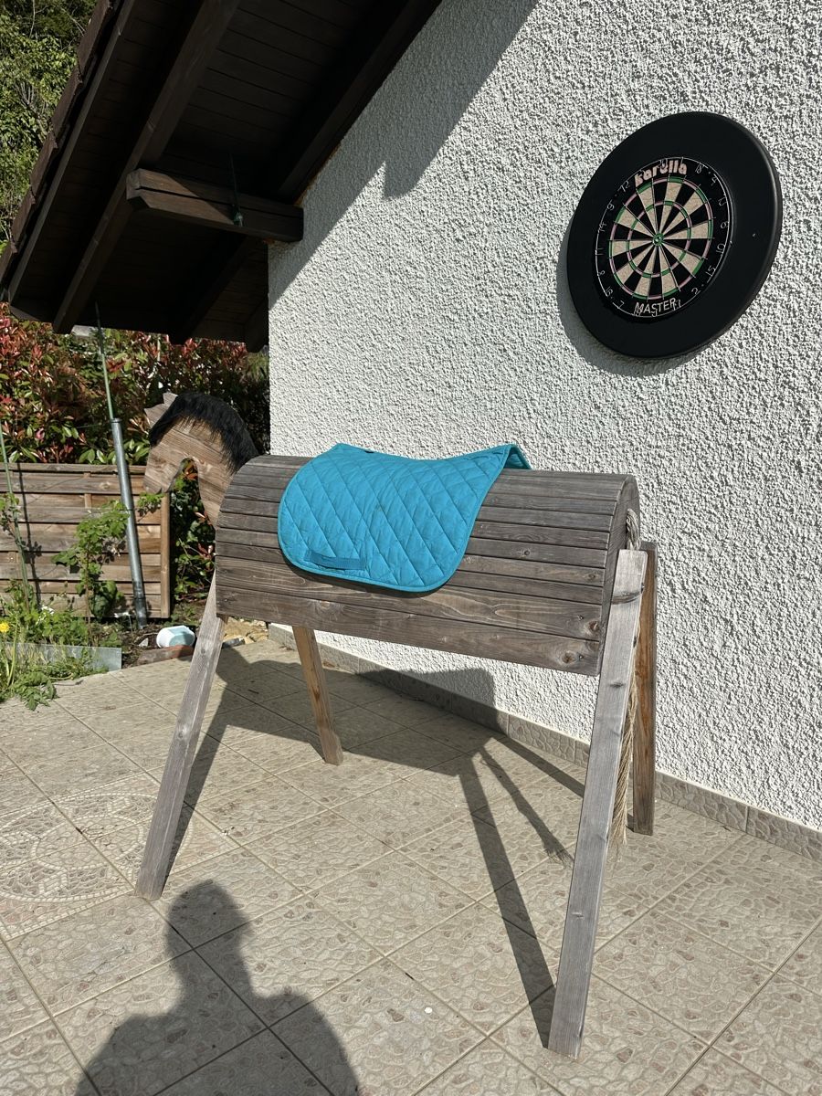 Giocattoli: Holzpferd outdoor / Gartenpferd – Usato da Birmenstorf AG venduto da MrsMela 1