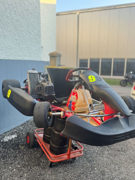 Swiss Hutless Go-Kart: Rennkart Swiss Hutless – Usato da Reinach AG venduto da tamy1730 1
