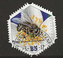 M1383 - Abeille mélifère 1er jour
