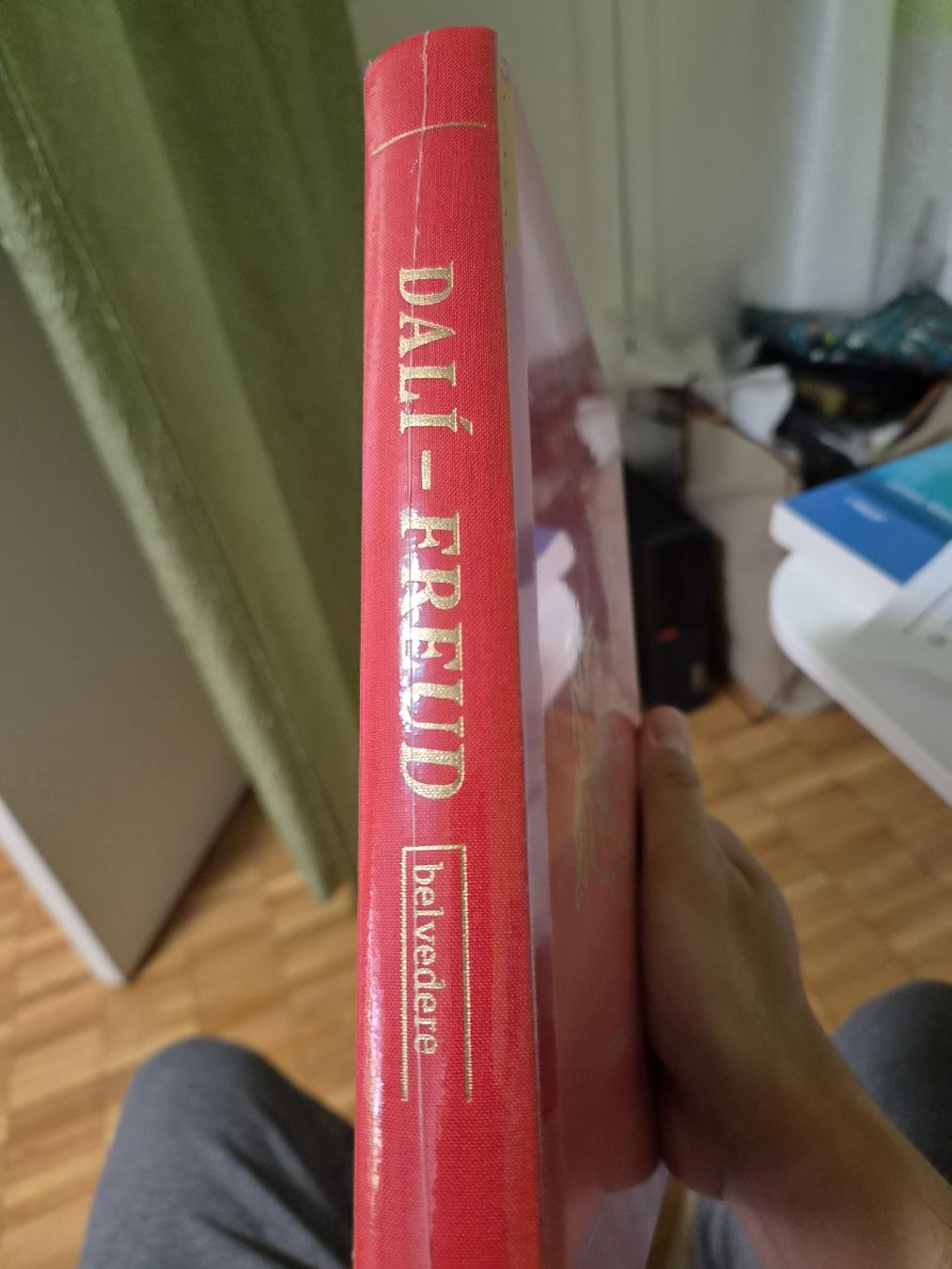 Bücher: Dali Freud Eine Obsession Buch Neuwertig – Neu und originalverpackt aus Bassersdorf von Sport_4_life 3