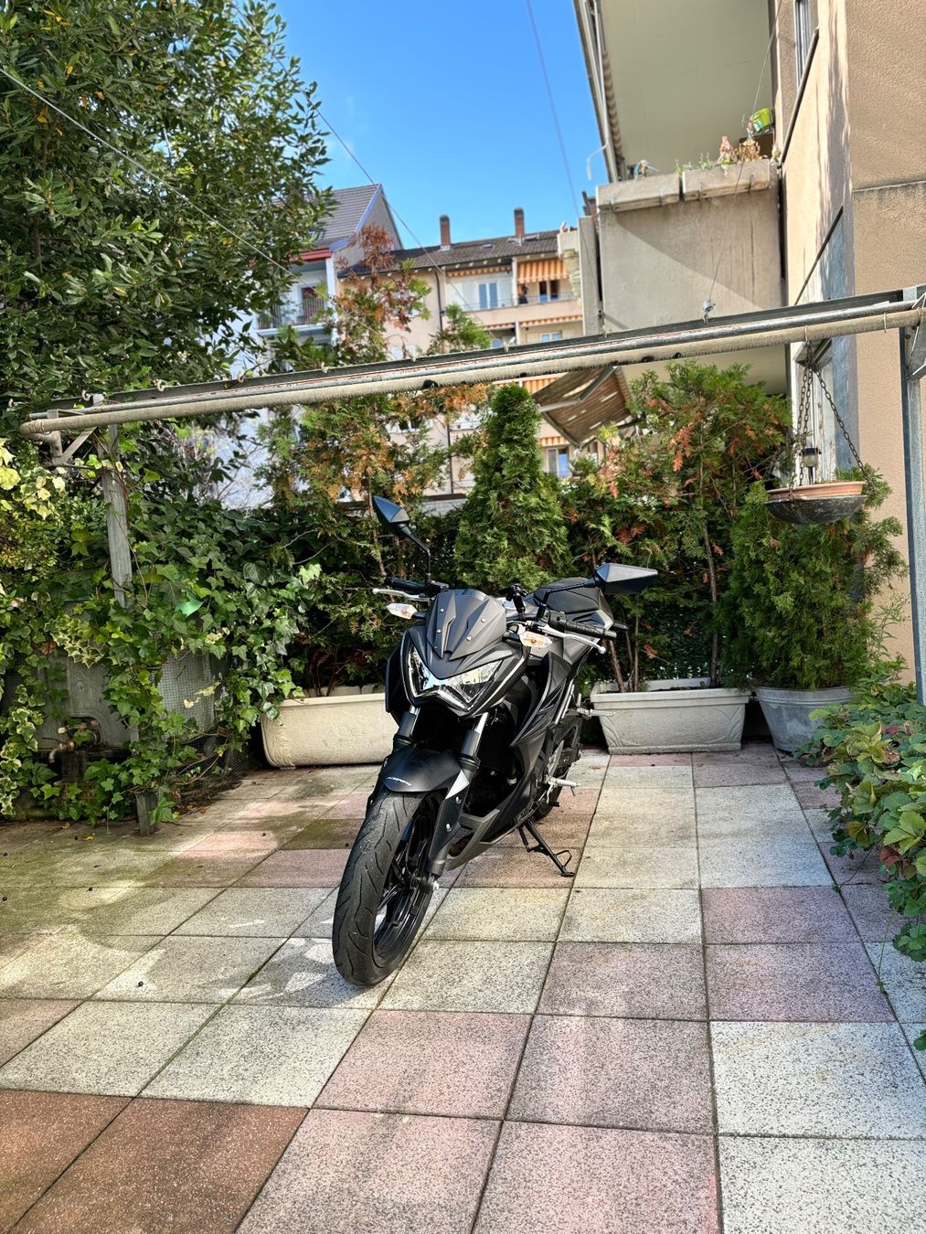 Kawasaki Strasse: Kawasaki Z300 – Gebraucht aus Basel von Alisa_77 3