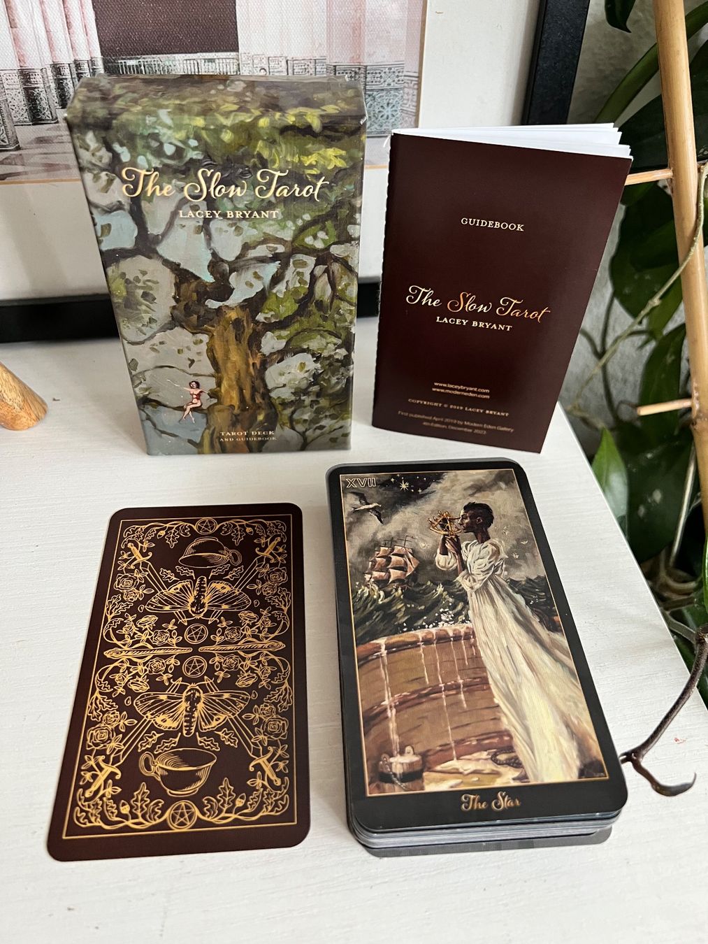 Giochi: The Slow Tarot Karten Deck – Nuovo (secondo la descrizione) da Effretikon venduto da YaMn 1