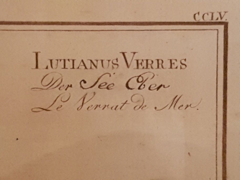Foto & Immagini: Stich Lutianus Verres (Der See Eber) – Nuovo (secondo la descrizione) da Gamprin-Bendern venduto da uk9487Liechtenstein 1