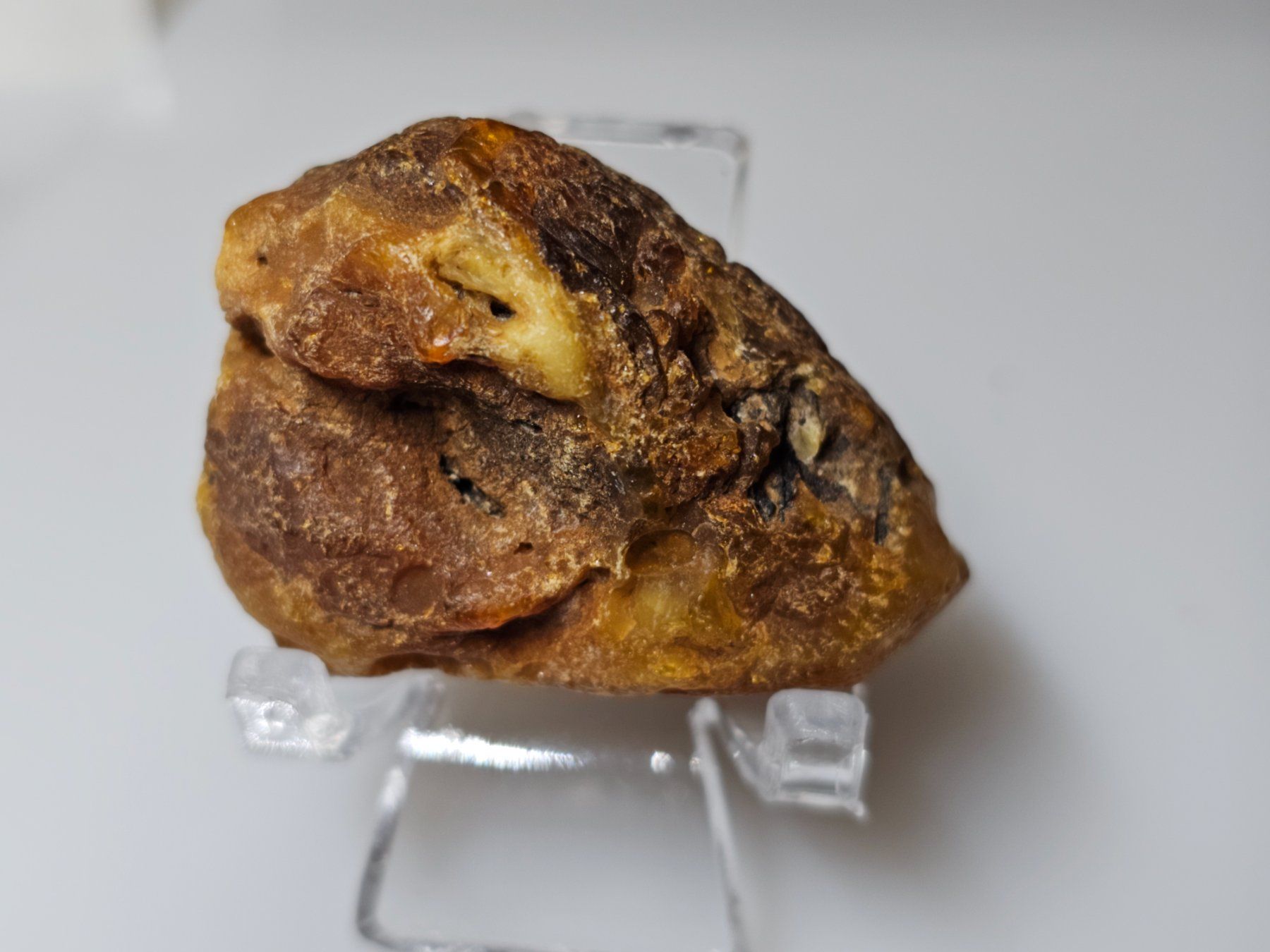 Minerali & Pietre curative: 9,7 gr Rohbernstein echt Roh Bernstein baltisch butterscotch – Nuovo (secondo la descrizione) da Riedt b. Erlen venduto da Gottestraene 2