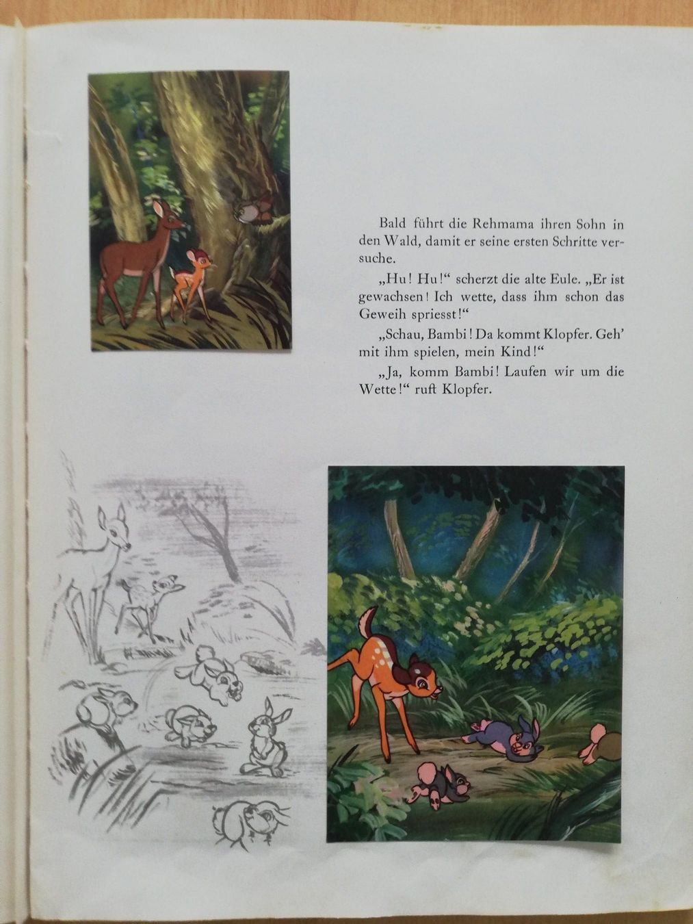 Libri: Aschenbrödel - Bambi – Usato da Hildisrieden venduto da Malve 1
