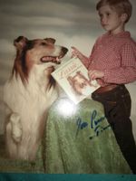 == ACHTUNG == Jon Provost (Lassie) - orig. sign. Grossfoto !