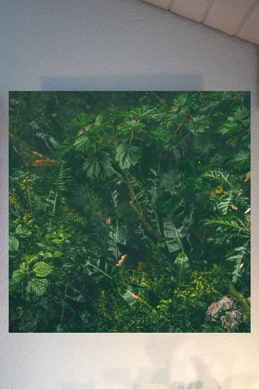 Poster & Bilder: Wandbild 40cm x 40cm, Alu-Dibond – Neu und originalverpackt aus Dagmersellen von sim_zqh8