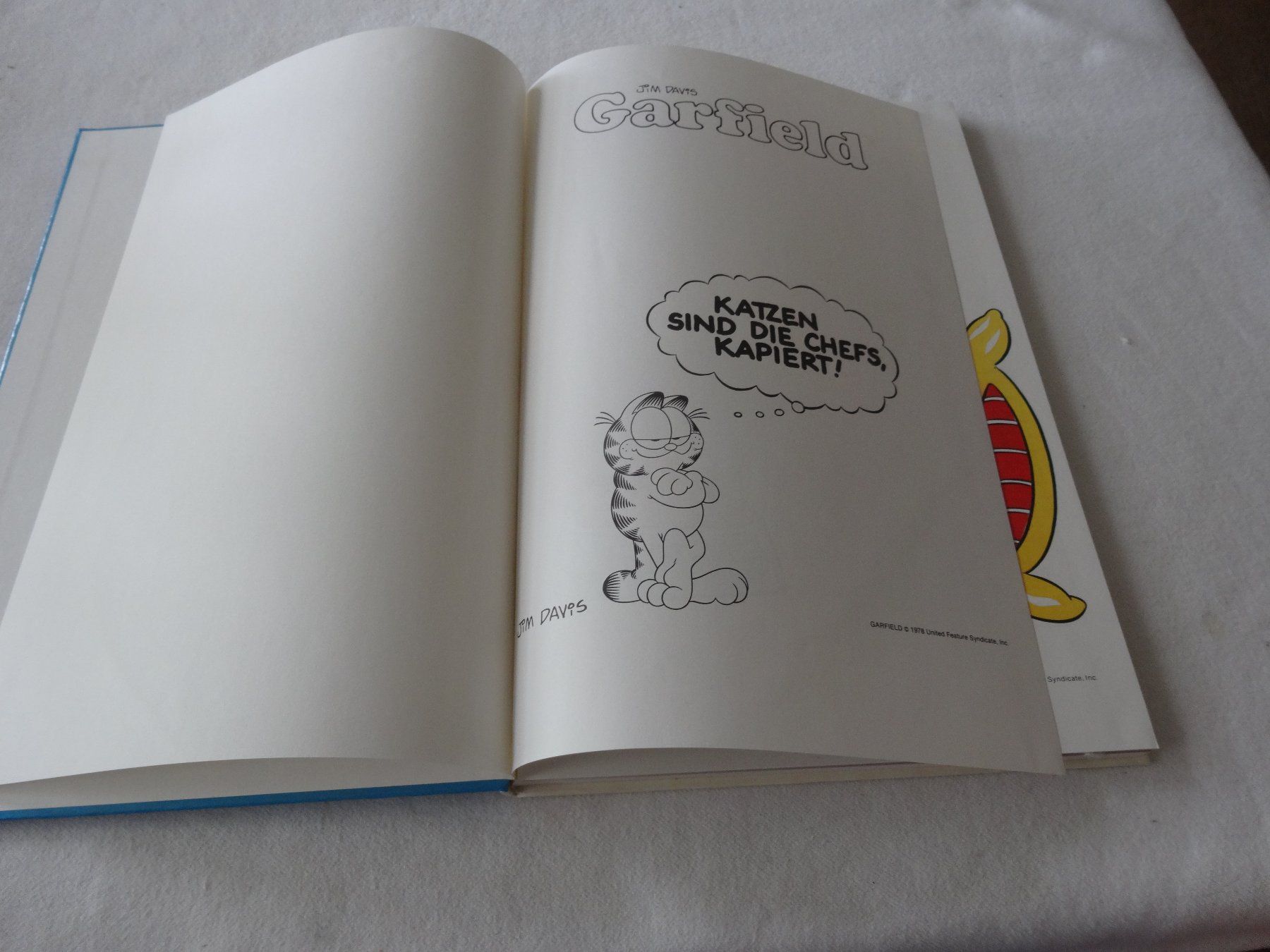 Fumetti: Die Garfild Revue – Usato da Neerach venduto da jenny062 1