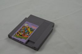 Boulder Dash NES Spiel