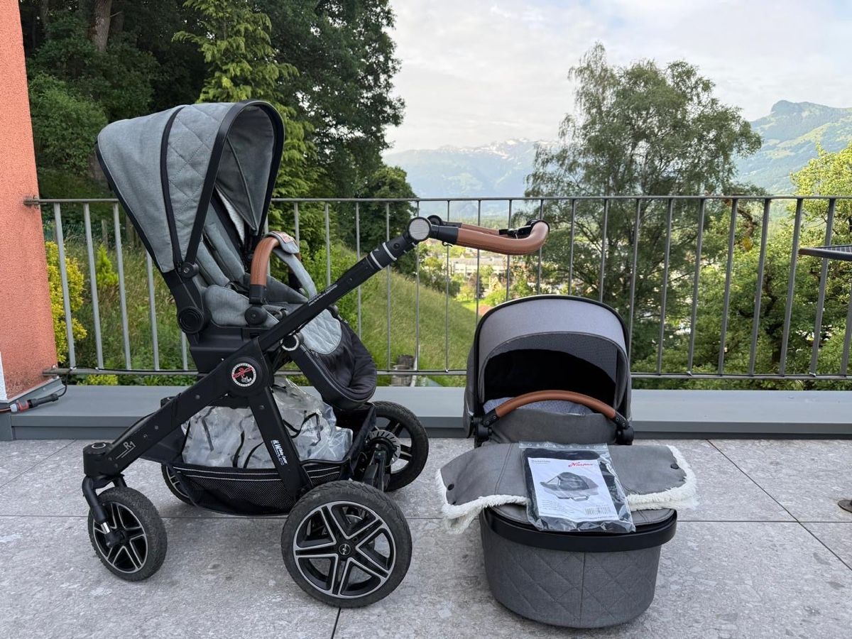 Hartan Carrozzine: Hartan R1 GTS mit Handbremse – Usato da Triesen venduto da Michi_2201 1