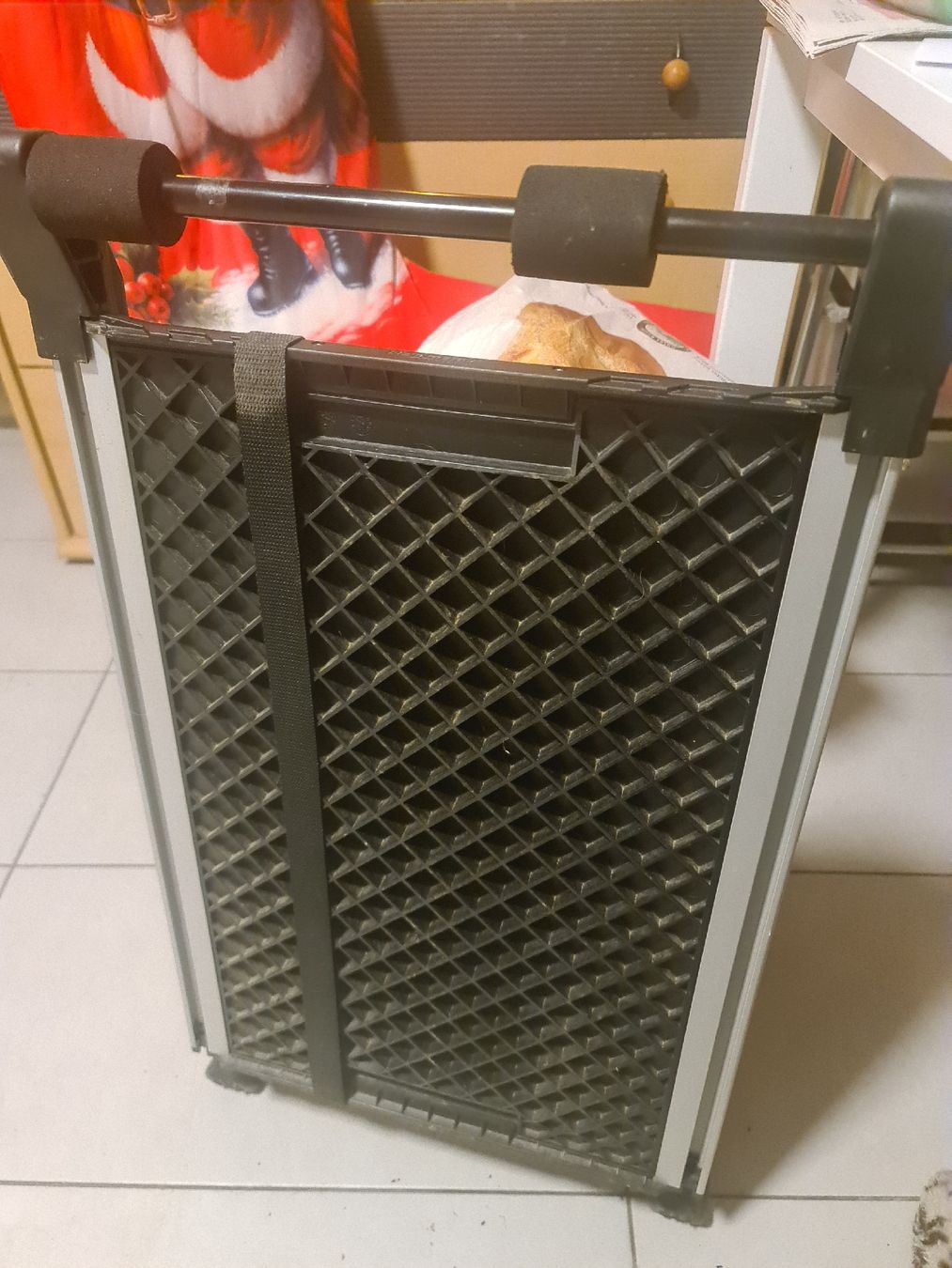Gabbie, trasporto & Sicurezza: Hunde Rampe – Nuovo (secondo la descrizione) da Bellerive VD venduto da Hermes5