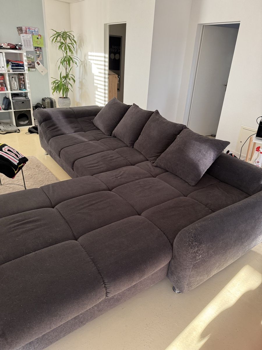 Divani: Ecksofa von Katzenhaushalt – Usato da Bützberg venduto da Janick77 1