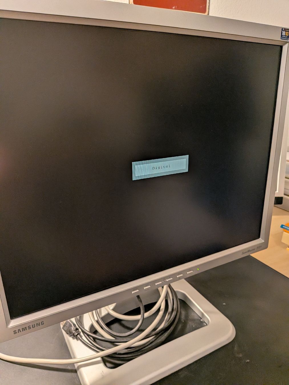 Samsung Monitor: Samsung Bildschirm 213T – Usato da Buchs SG venduto da SimWies 3