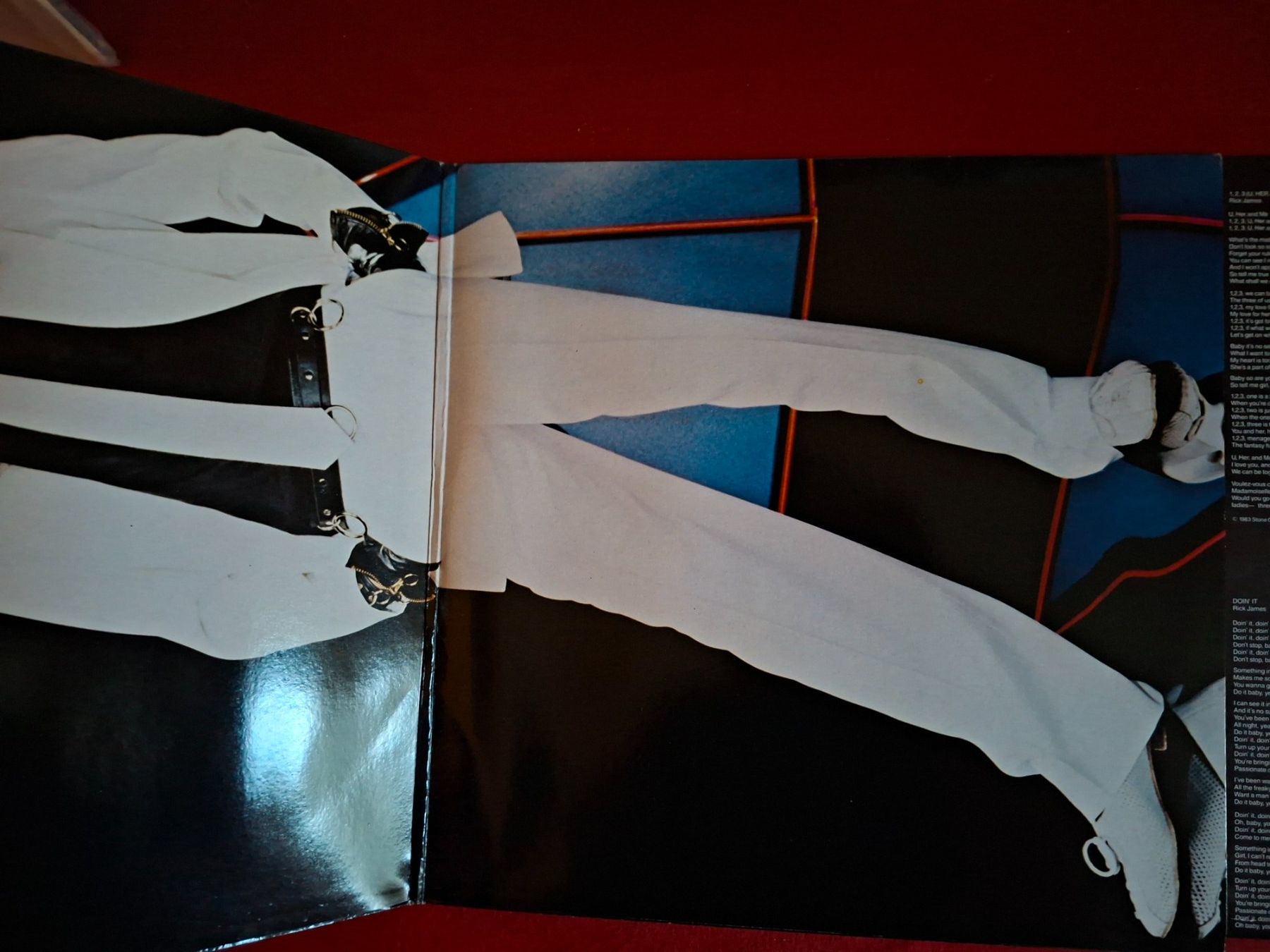 Dischi in vinile: Schallplatte LP Rick James – Usato da Burg AG venduto da FunkFrog67 1