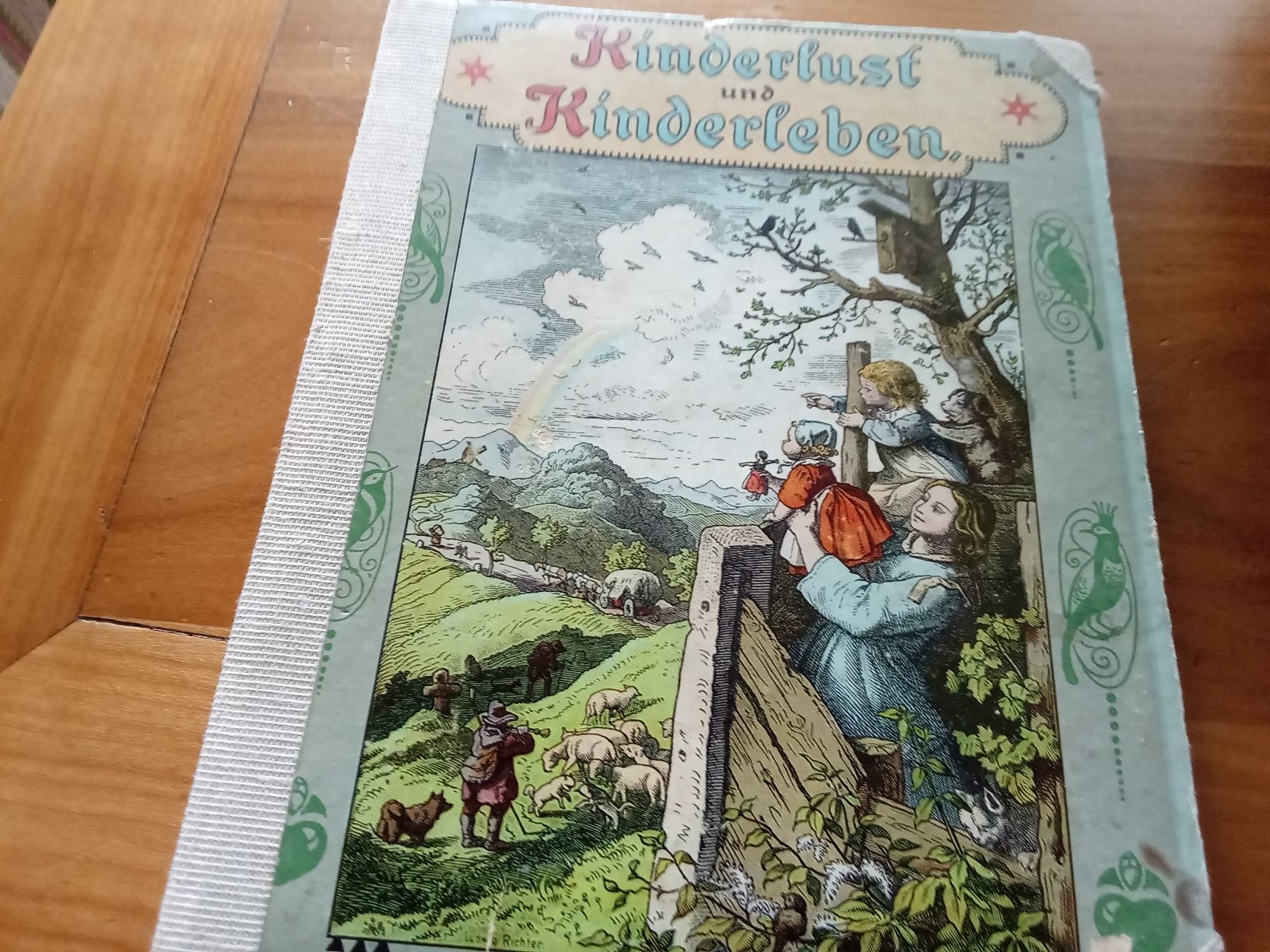 Libri: KINDER LUST UND KINDERLEBEN – Usato da Muri BE venduto da Alk