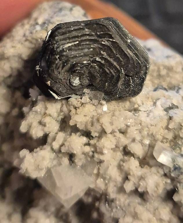Minerali & Pietre curative: Hämatit-Rose mit Adular - Grimsel, Schweiz  – Usato da Oberwangen b. Bern venduto da sig_5nvk 4