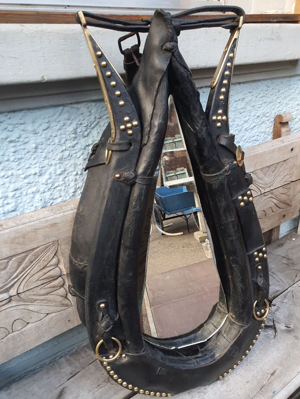 Briglie & Cavezze: Pferde Kommet – Usato da Wangen b. Olten venduto da Hecht62xyz