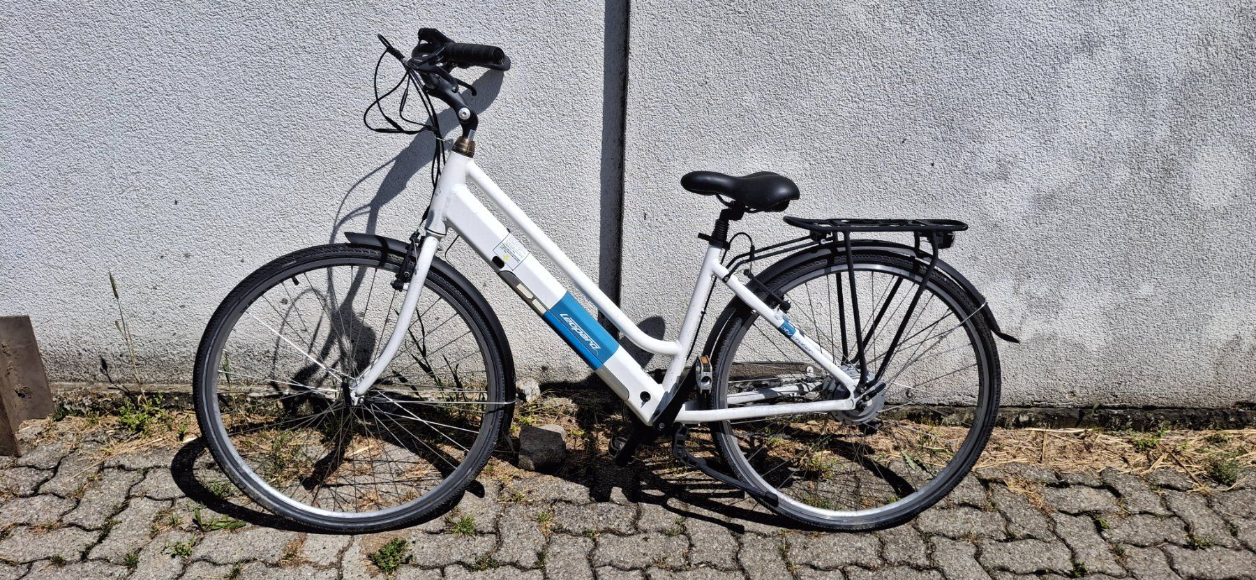 Leopard Velos: E bike Leopard – Defekt aus Kyburg von JBMNT2020 1