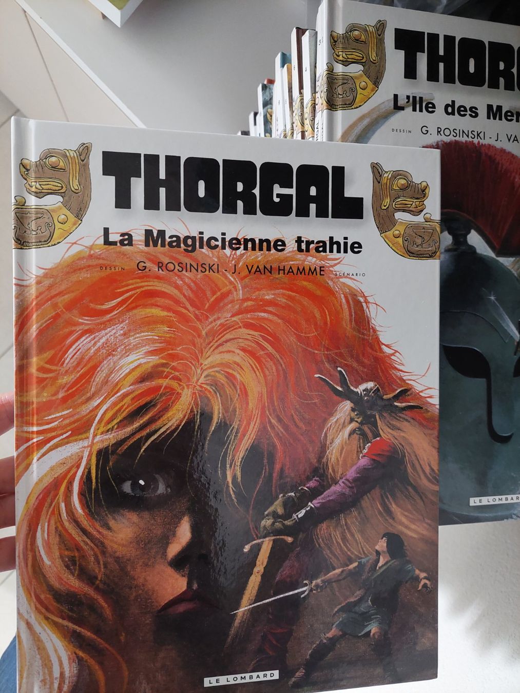 Comics: Thorgal – Gebraucht aus Ins von car_k9kk