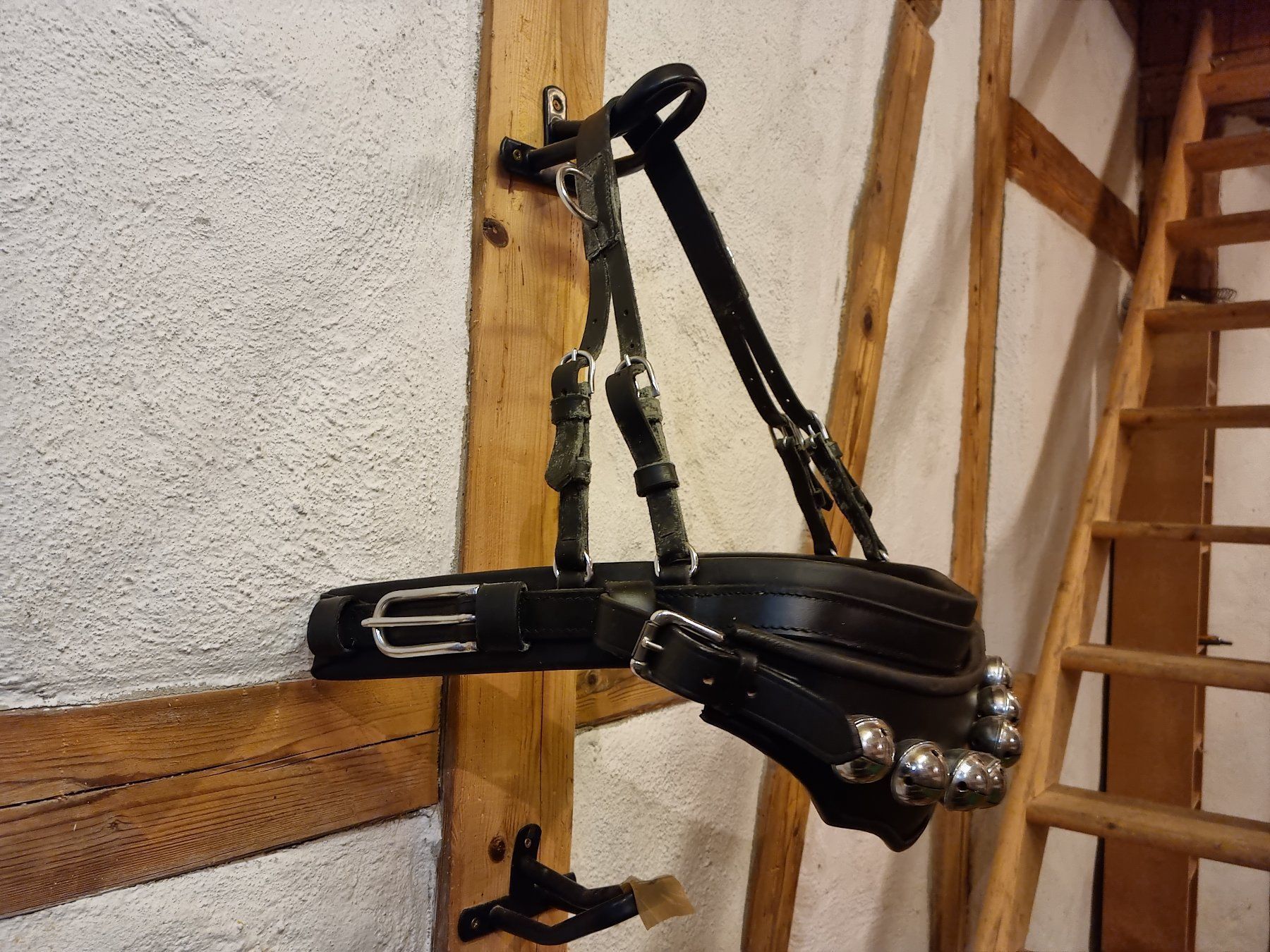Briglie & Cavezze: Schlittengeschell Geschell Glocken Ponygeschirr Shetty Pony – Nuovo e nell'imballaggio originale da Hinterforst venduto da Elfrasty 2
