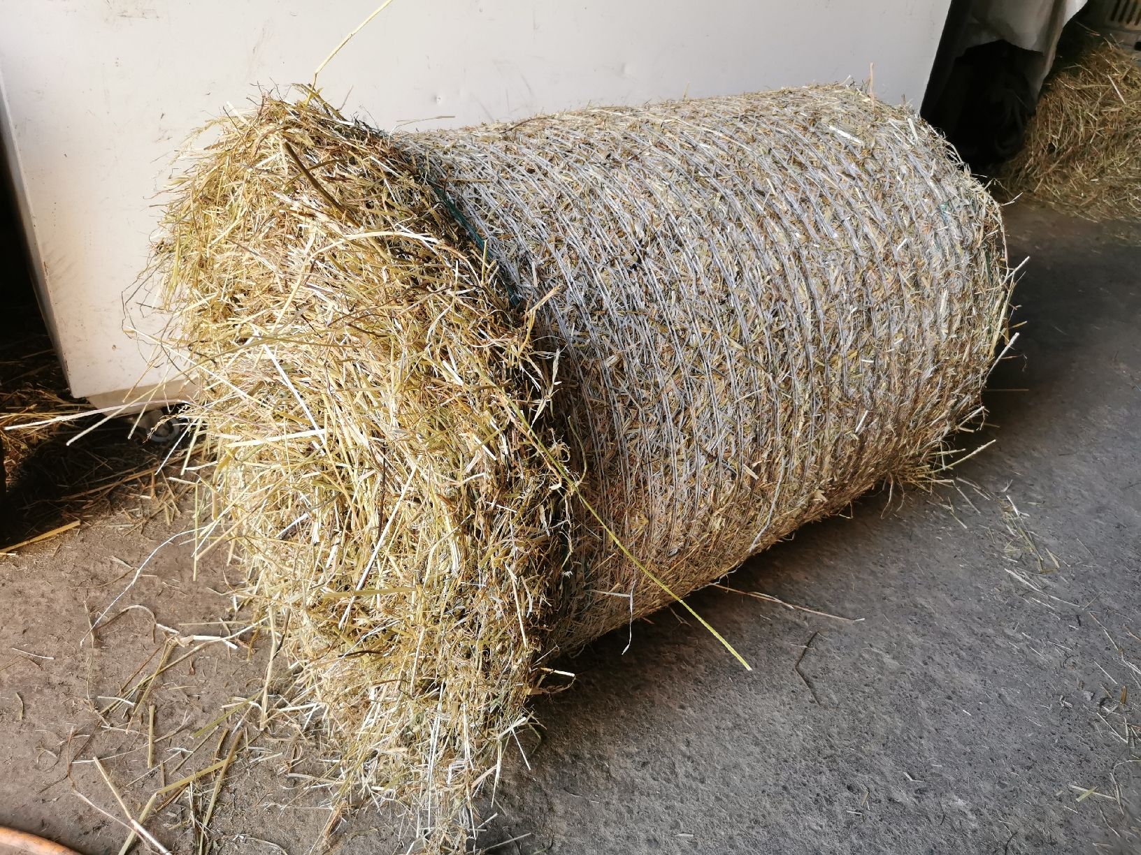 Futter: Heu kleine Rundballen – Neu (gemäss Beschreibung) aus Grüningen von  3