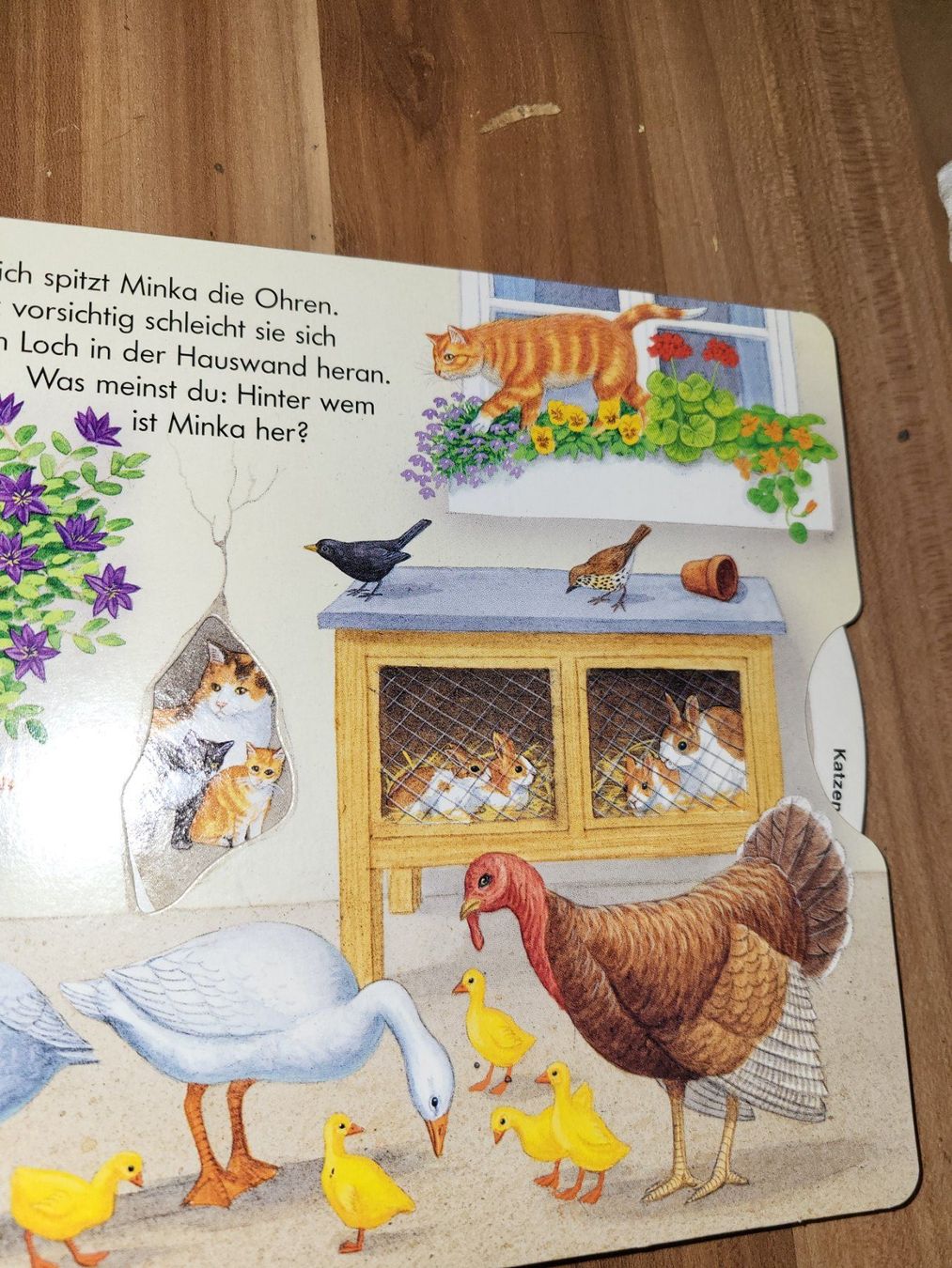 Libri: Drehen und sehen Bsuernhof – Nuovo (secondo la descrizione) da Schwarzenburg venduto da Flamingo07 1