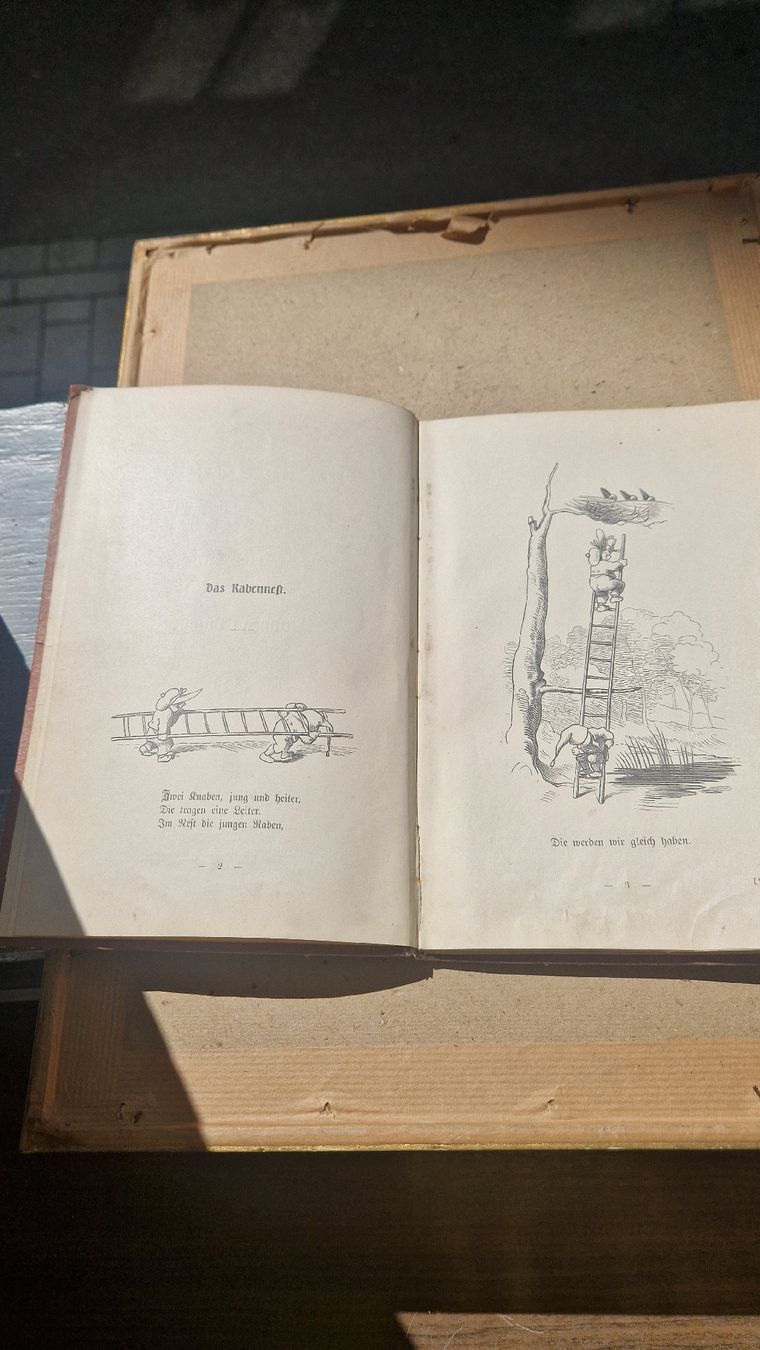 Bücher: Willhelm Busch das Rabennest 1912 – Gebraucht aus Wetzikon ZH von Oldieslover 3