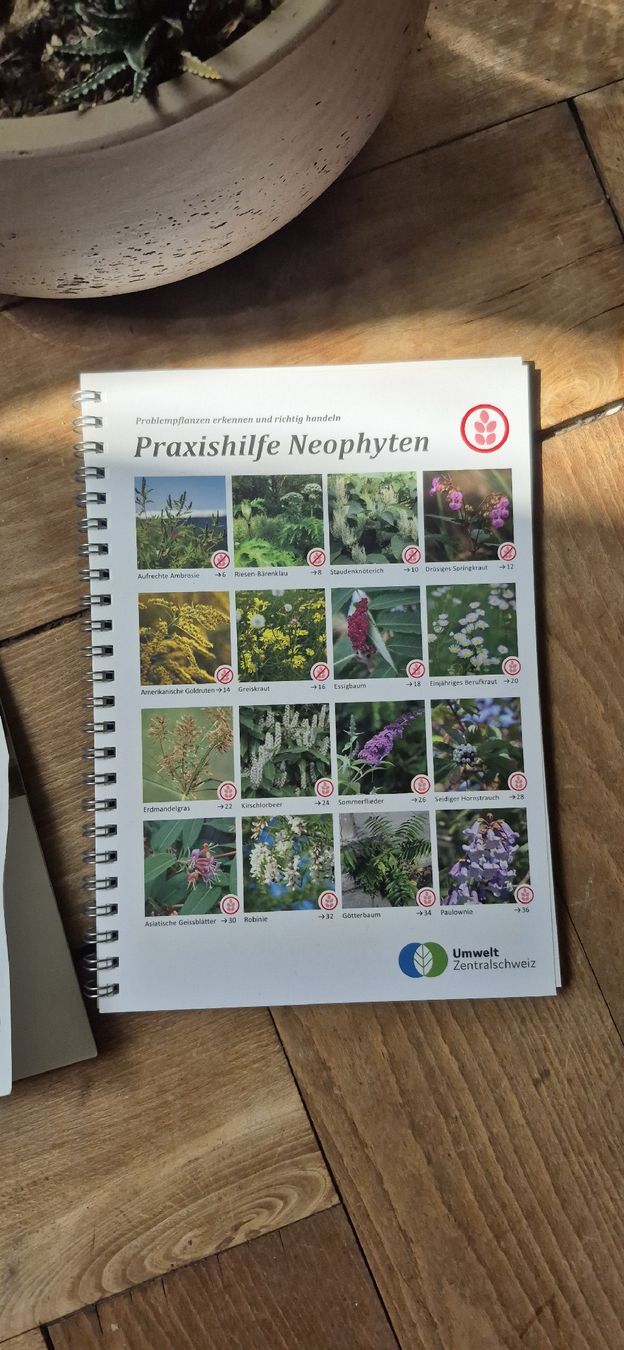 Livres: Praxishilfe Neophyten – Neuf (Voir description) à Luzern par 365mal