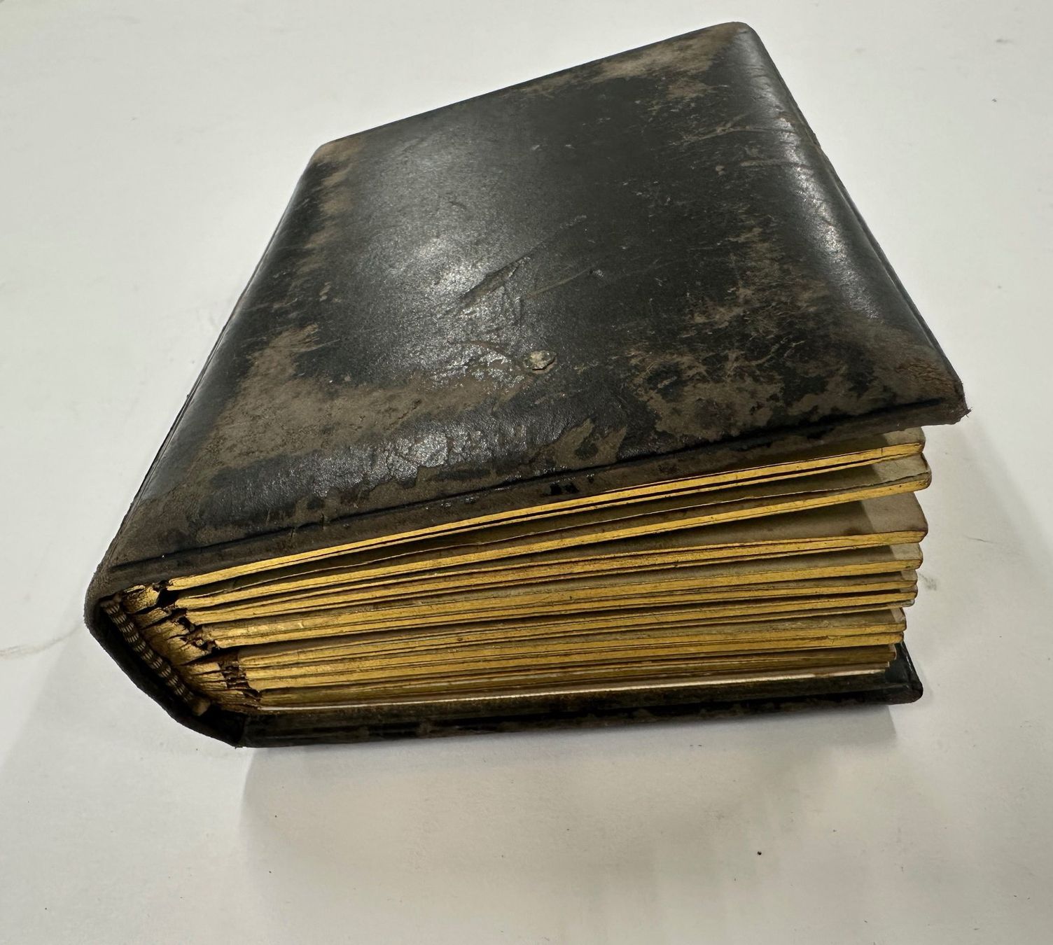 Album: Antikes Fotoalbum – Usato da St. Gallen venduto da winona04 5