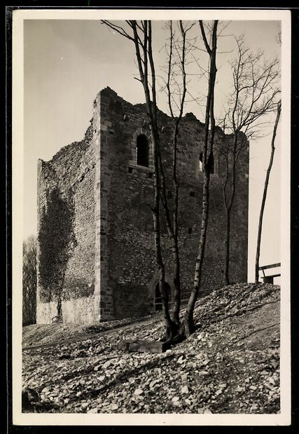 Ansichtskarten: Muttenz, Wartenberg, Mittlere Ruine, res – Gebraucht aus Berlin von bartko-reher