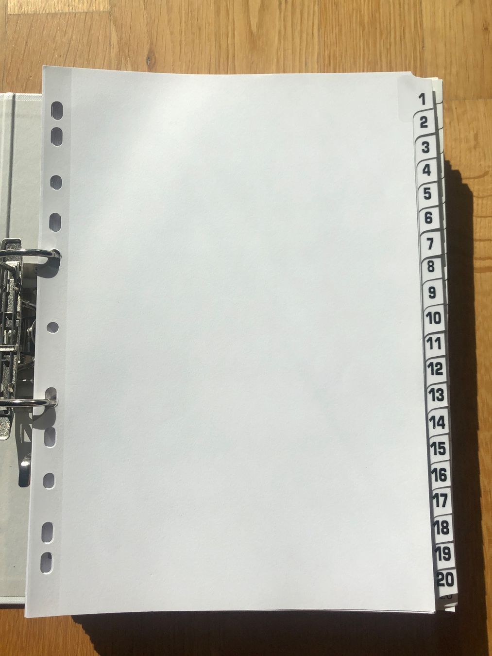 Raccoglitori: 15x Register 1-20 – Usato da Münchenstein venduto da Dibu11
