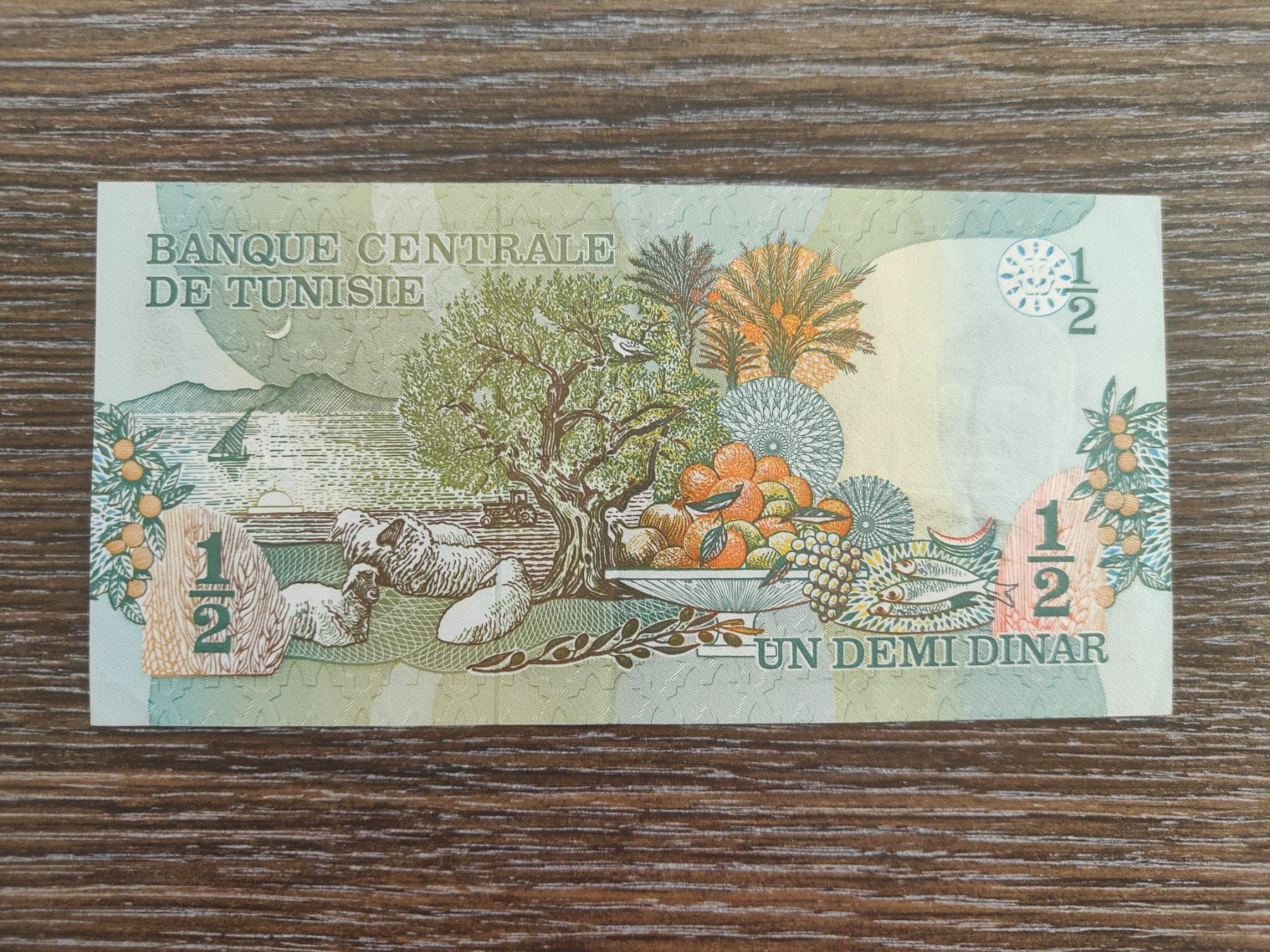 Banknoten: Tunesien 1/2 Dinars 1973 !!!!!! – Gebraucht aus Flaach von Lonzo99 1