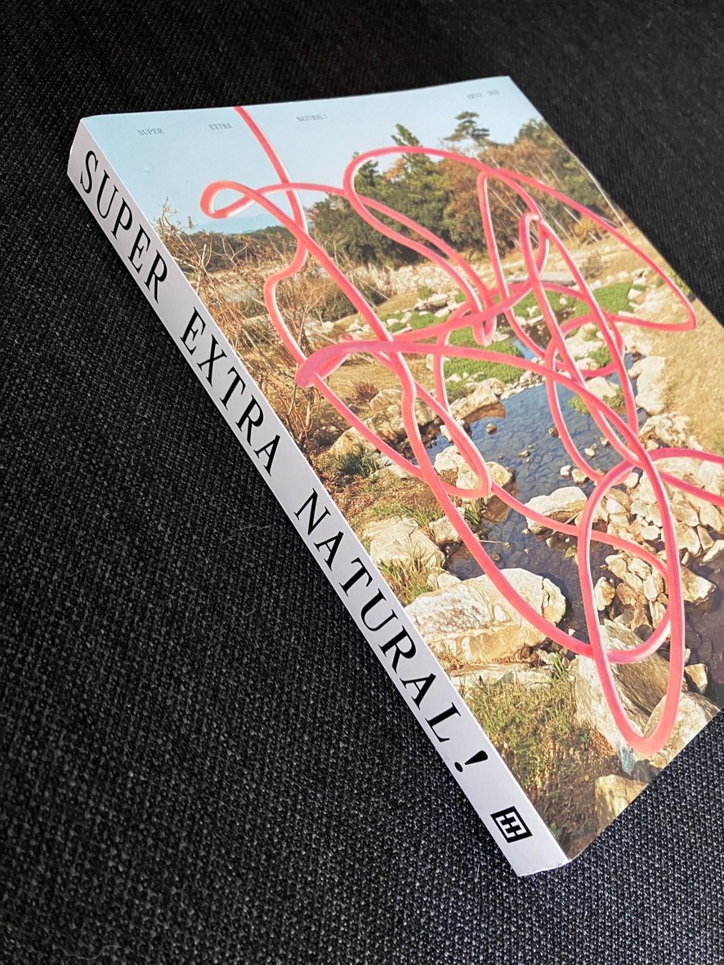 Libri: Emily Shur - Super Extra Natural – Nuovo (secondo la descrizione) da Adliswil venduto da lauryyrual 1