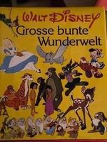 Walt Disney - Grosse bunte Wunderwelt - Kinderbuch Top