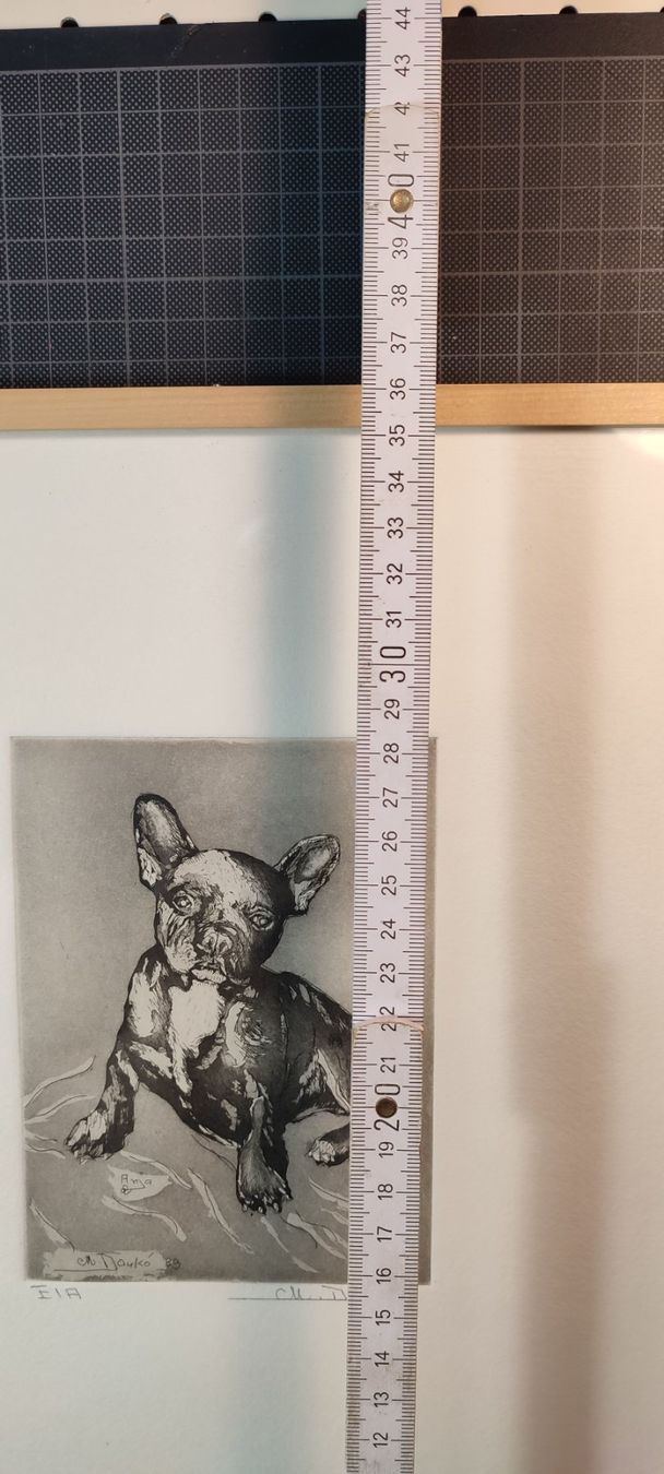 Foto & Immagini: Wunderschönes Bild von einem Hund von M.Danko – Usato da Gelterkinden venduto da MYSTOREFORYOU4460ART 6