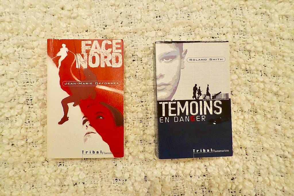 Libri: Série Tribal:Ed Flammarion – Nuovo (secondo la descrizione) da Genève venduto da fto_sz8d 2