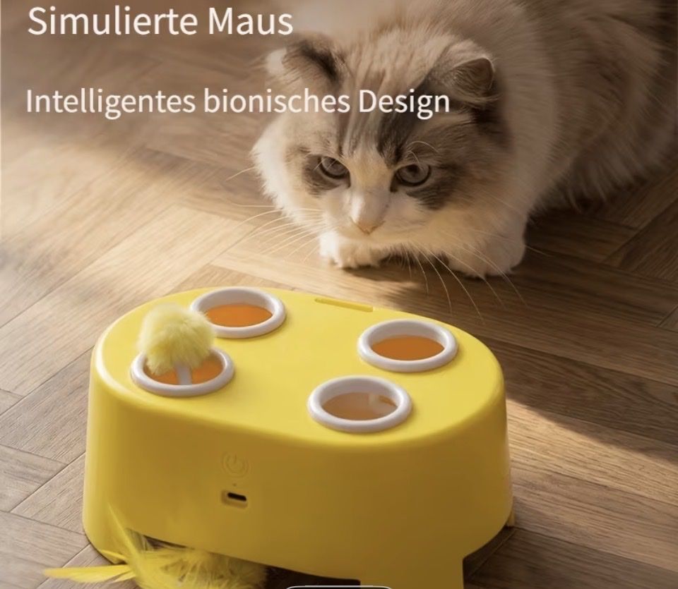 Giocattoli: Neues intelligentes Katzenspielzeug   – Nuovo e nell'imballaggio originale da Pfeffikon LU venduto da AliceE