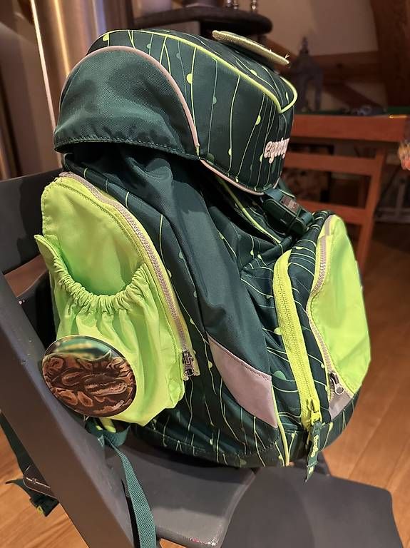 Borse & Zaini: Ergobag Schulrucksack – Usato da Hünenberg See venduto da Maestro80 2