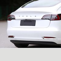 Autoschriftzug 3D Tesla