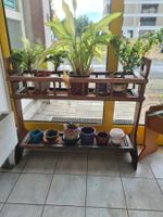 2 Étagères à plantes en bois vintage, une a 2 etages