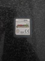 Mario & Luigi Bowser's Inside Story DS