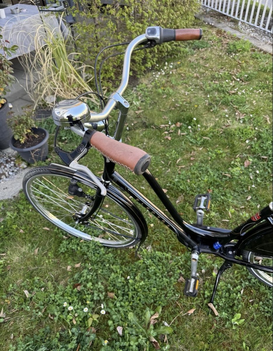 Biciclette: Electra royal Amsterdam, Hollandvelo – Usato da Fällanden venduto da Caramel7 4