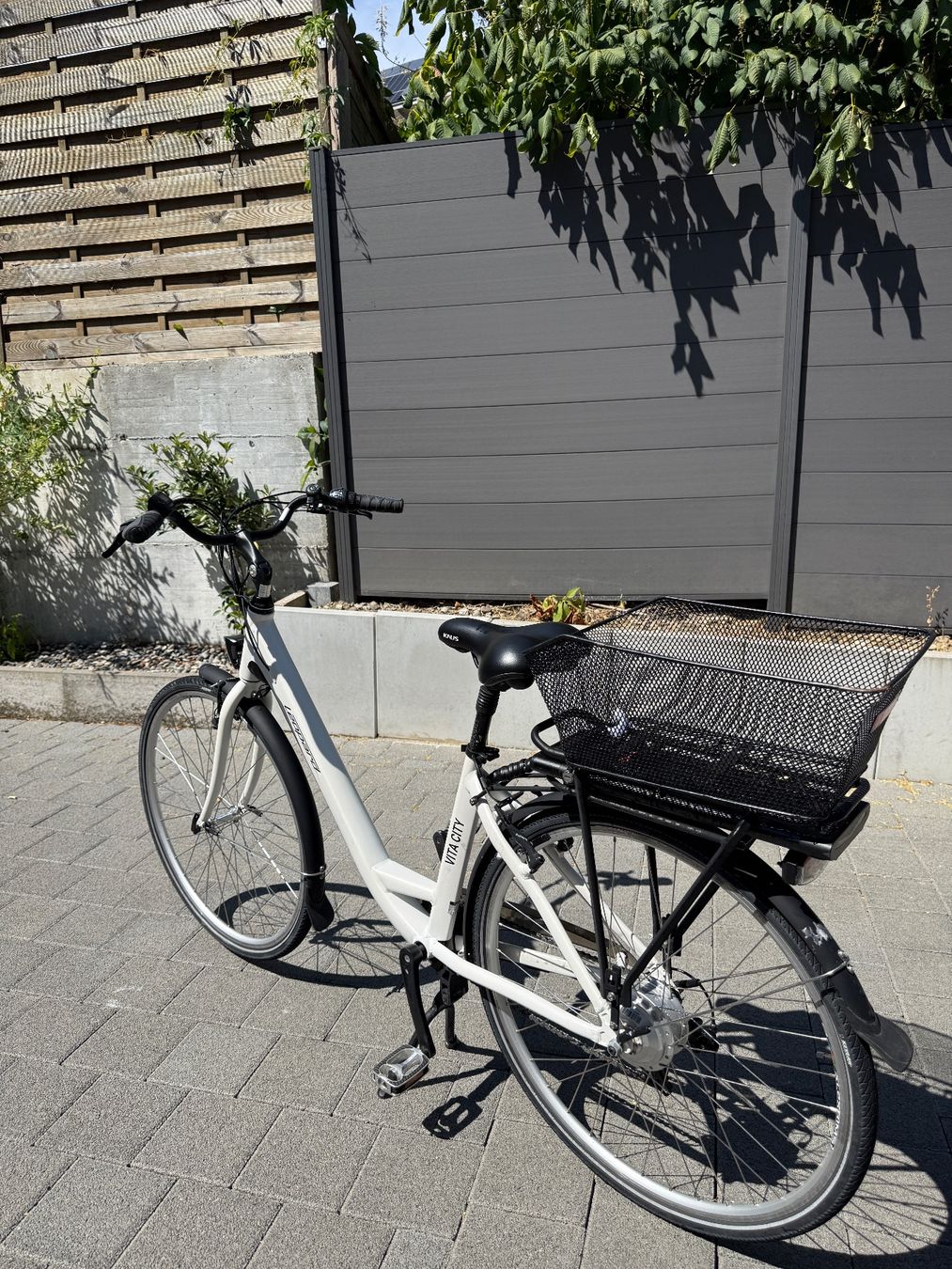 Leopard Biciclette: Leopard E-bike – Usato da Belp venduto da den_h9tg 1