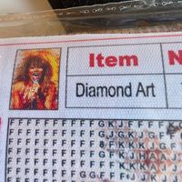 DIAMOND PAINTING TINA TURNER 40 X 50 CM