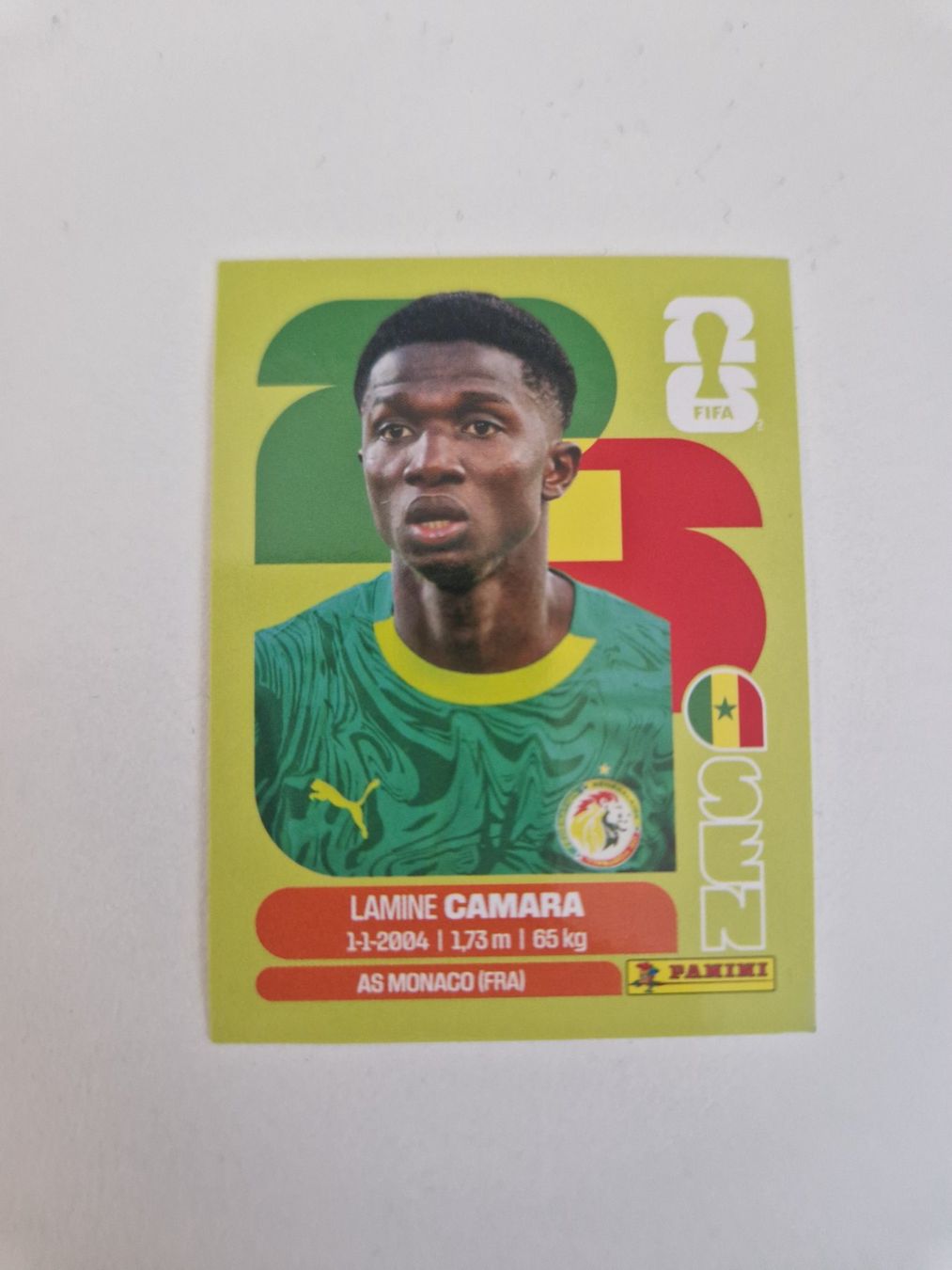 Panini Carte collezionabili: Panini Sticker SEN14 – Nuovo (secondo la descrizione) da Stüsslingen venduto da white_angel86