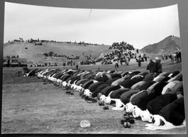Erh. Hürsch: 2 Fotos um 1975, Afghanistan (XII), Betende