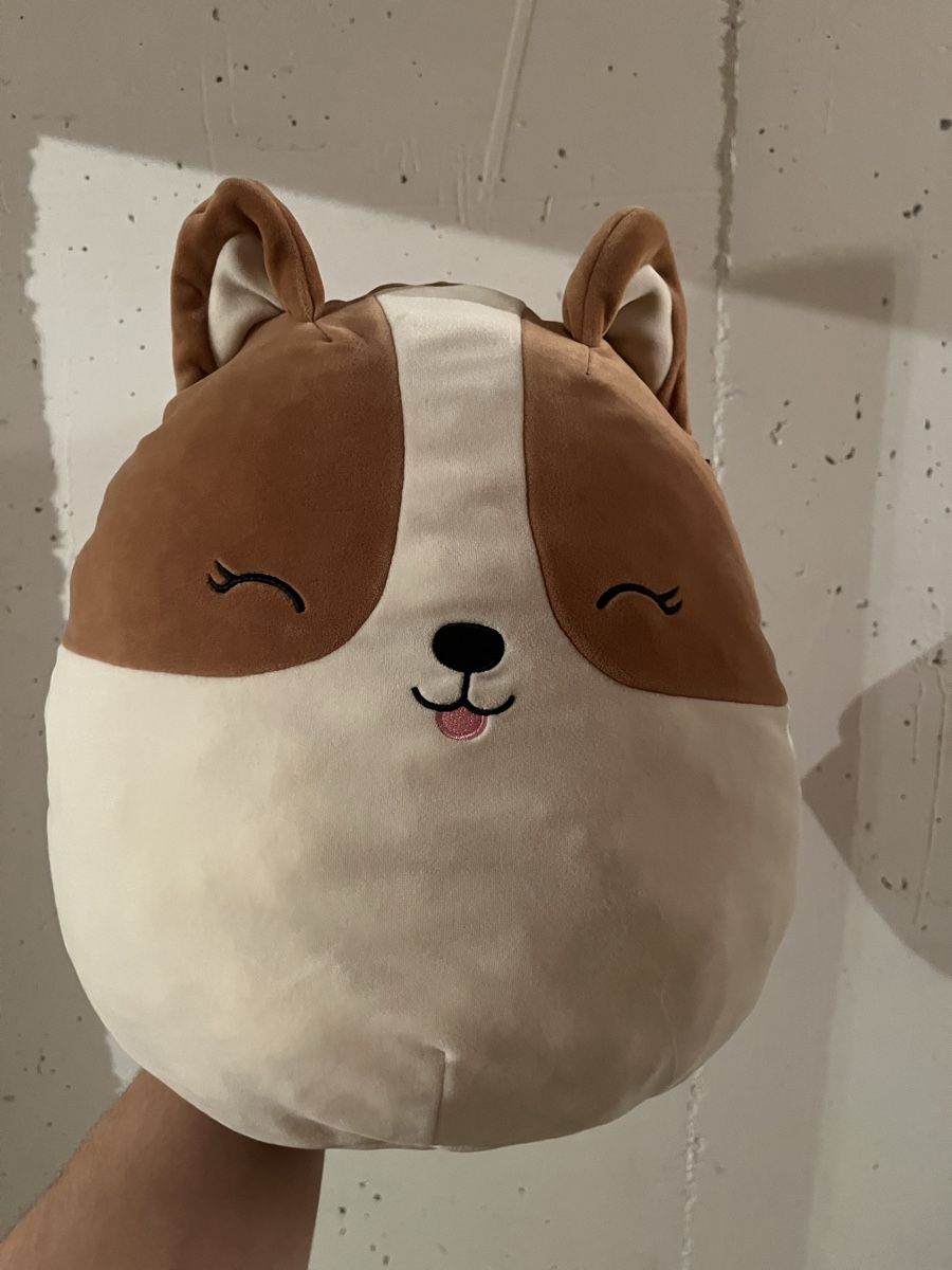 Squishmallows Giocattoli: Weichspielzeug – Usato da Bern venduto da pod_t7lg
