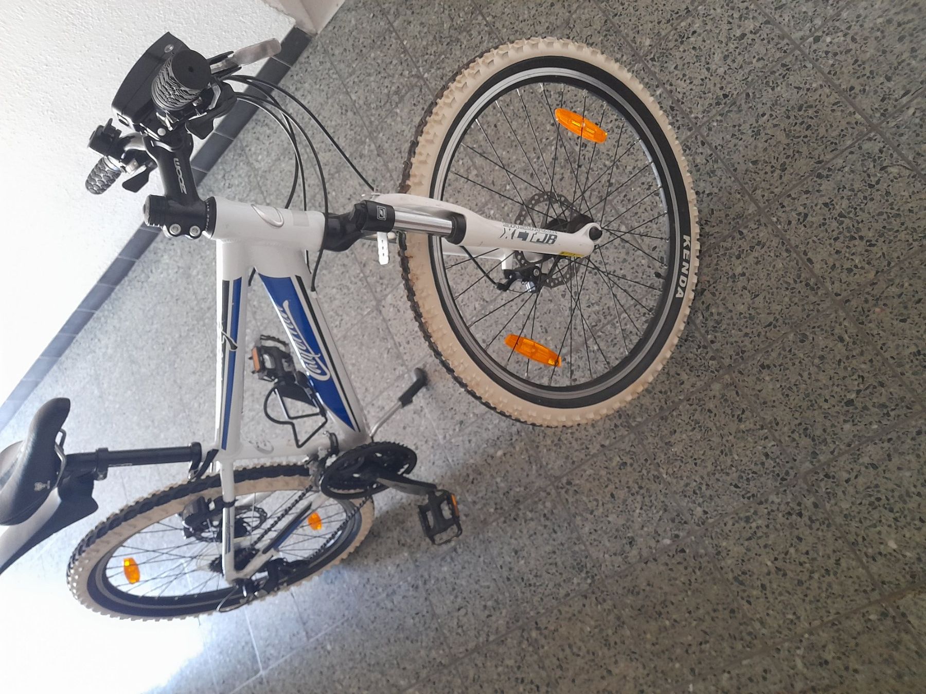Biciclette: California velo 24 – Usato da Waldenburg venduto da mol_r9s8 1
